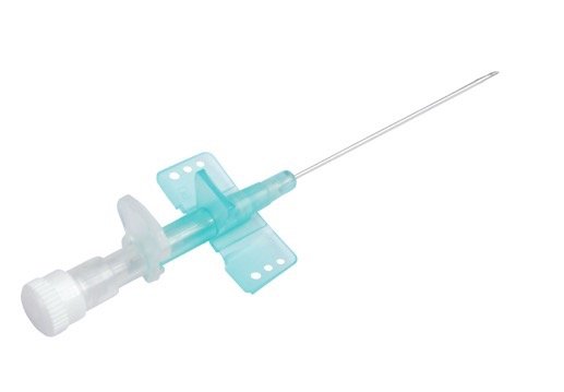 الجناح: الفراشة: فروة الرأس نوع الوريد inwelling intinvenous cannula.jpg